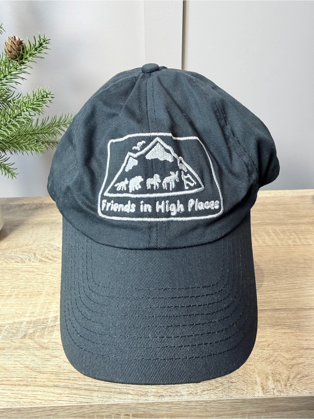 Jasper National Park Friends in High Places Black Embroidered Baseball Cap